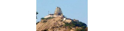 64. திருக்கடிகை (ஷோளிங்கர்)